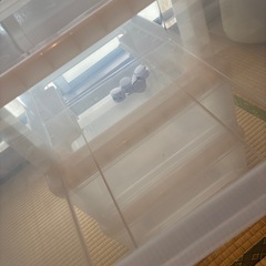 クリア衣装ケースの画像