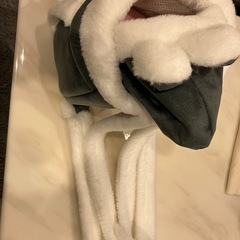 ペットバッグの画像