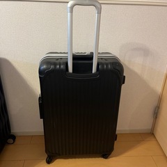 キャリーケース　100L(ベルト付)の画像