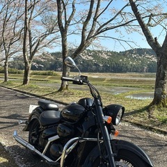 イントルーダークラシック400の画像