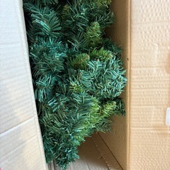 クリスマスツリー🎄の画像