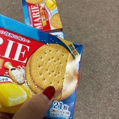 MARIE マリー　塩バター　4箱の画像