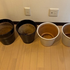 🌺植木鉢　4個の画像