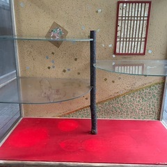 昔の古いガラスの収納飾り棚の画像