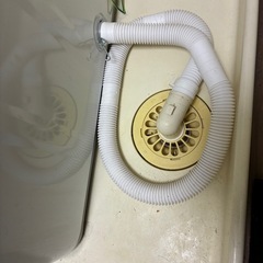 25年製ヨドバシ洗濯機　26年2月末発送　京都市送料無料‼️(他地域も無料有り)の画像