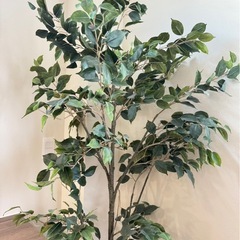 プレミアム光触媒フェイクグリーンの画像