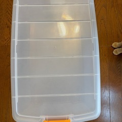 アイリスオーヤマ　衣装ケースの画像