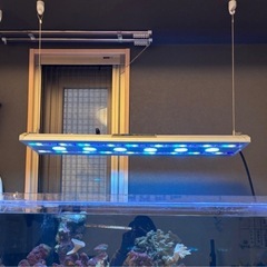 90センチ　オルカ海水水槽
の画像