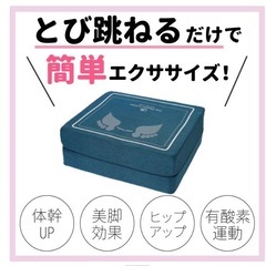 Hop Stepper Cushion ダークブラウンの画像