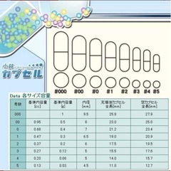小林カプセル食品カプセル ＃4号 ( 100コ入 )の画像
