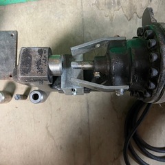 イクラ ミニパンチャー‼️の画像