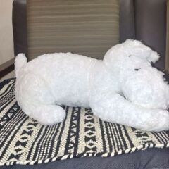 タンタンの冒険の画像