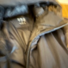 UNIQLO シームレスダウンの画像