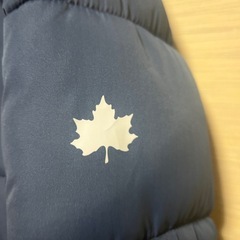 LOGOSダウンの画像