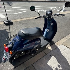 堺市発！ホンダトゥデイの画像