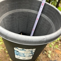 プランターの画像