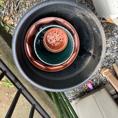 プランターの画像