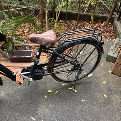 折りたたみ電動自転車の画像