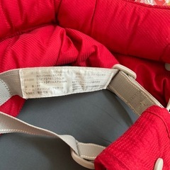 イングリッシーナ　ファストの画像