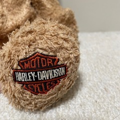 HARLEY-DAVIDS-ONの画像