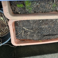 プランターの画像