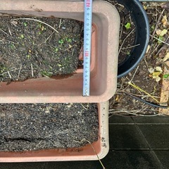 プランターの画像