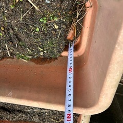 プランターの画像