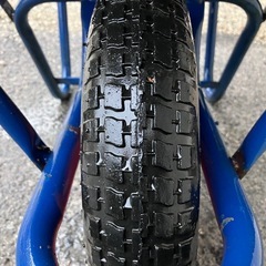 キレイなネコ一輪車の画像