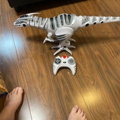 恐竜ラジコン　　の画像