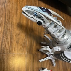 恐竜ラジコン　　の画像