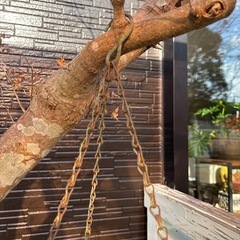 レトロなバンキングバスケット【B】 吊りカゴ アイアンハンギングバスケットの画像