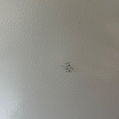 3ドア冷蔵庫の画像