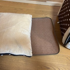 ペットドームハウスの画像