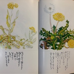 かぎりなくやさしい花々　星野富弘の画像