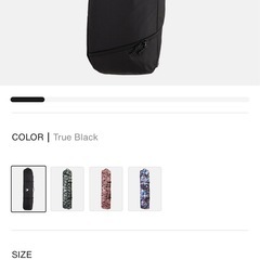 Burton ウィーリー ギグ バッグの画像