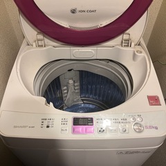 SHARP 洗濯機お譲りします(1月末希望)の画像