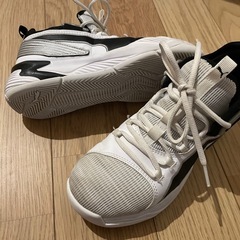 バッシュ プーマ 21.5cmの画像