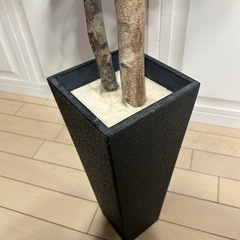 光触媒　フェイクグリーン　の画像