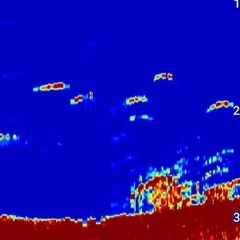 ガーミン　ストライカーキャストの画像