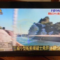 テレビの画像