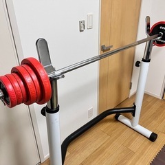 IROTEC アジャスタブルベンチ、バーベル一式の画像