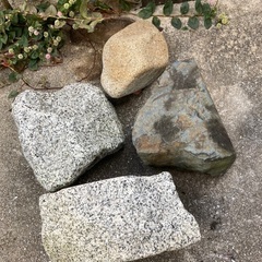 石　4つセットの画像