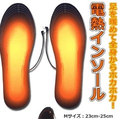 MIZUNO ミズノ ルームシューズ スリッパ + 電熱インソール 中敷きの画像