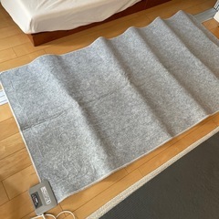 ホットカーペット大小セットの画像