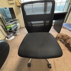 差し上げます　1人用椅子の画像