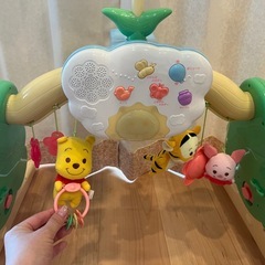 プーメリー　６ＷＡＹジムにへんしんメリー プラス くまのプーさん　メリーの画像