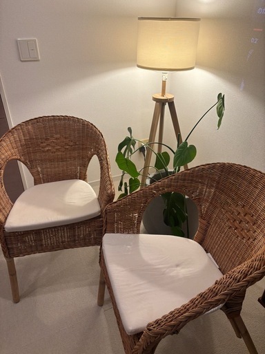 希少品】IKEA ラタン 2脚セット 椅子 クッション付き アーゲン AGEN