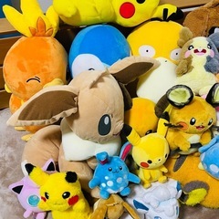 ポケモンのぬいぐるみの画像