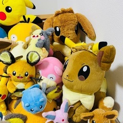 ポケモンのぬいぐるみの画像