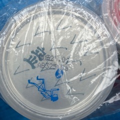 お酒色々の画像